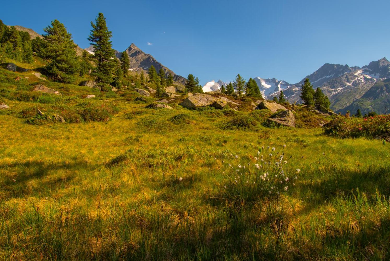 Haus Moikler Daire Zell am Ziller Dış mekan fotoğraf